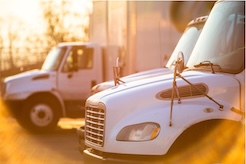 White commercial trucks parked outdoors in sunlight
