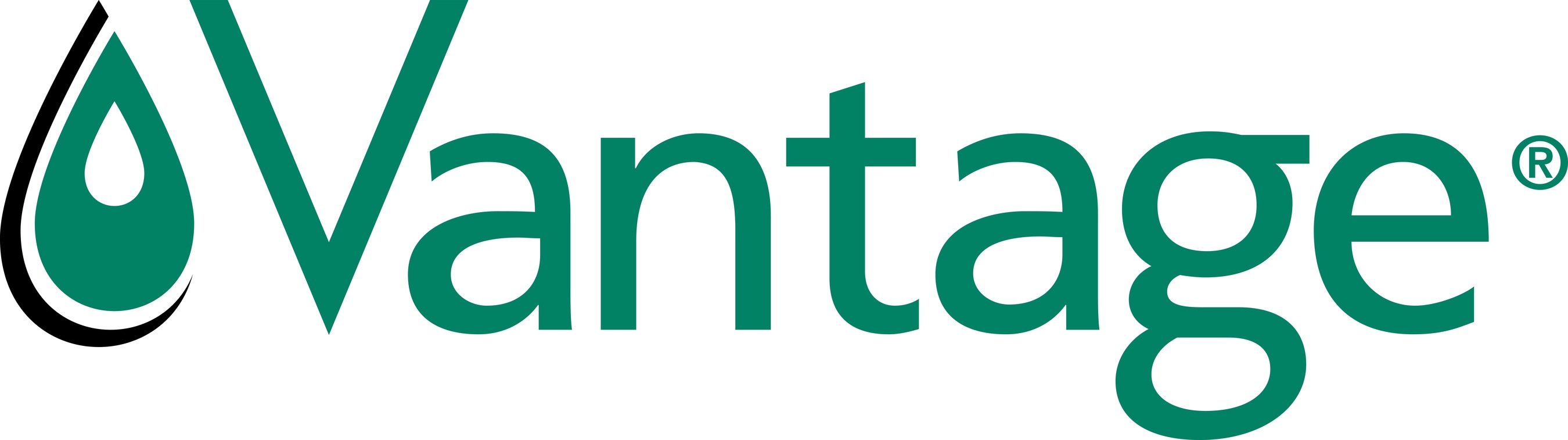 vantage logo